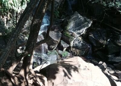 334013145_874193826995976_6324997434902343057_n