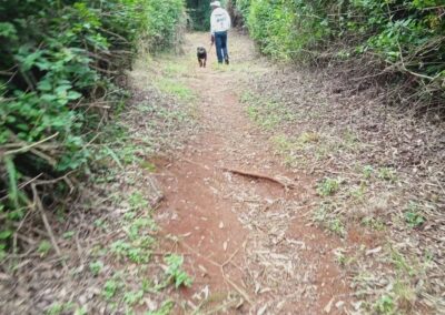 356037099_300200102351534_7038285274344212516_n