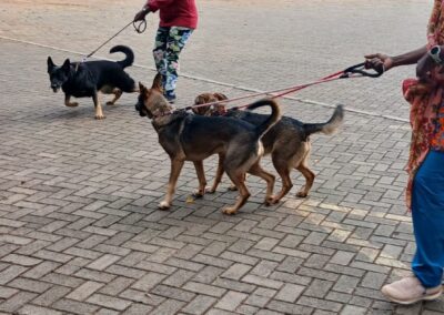 fa0a7caf-ef43-4652-acdf-6d6d5a86ff55